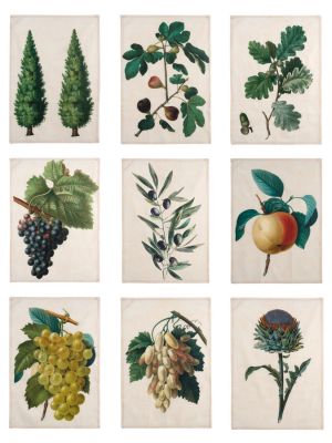 Blanc Mariclo canovaccio misto lino e cotone stampa botanica a scelta