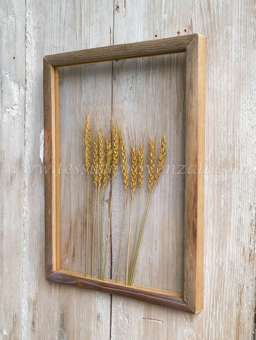 Blanc Mariclo quadro con fiori secchi serie Erbario d'Arte cm.30x40 h. - variante 2