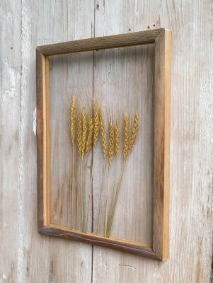 Blanc Mariclo quadro con fiori secchi serie Erbario d'Arte cm.30x40 h. - variante 2