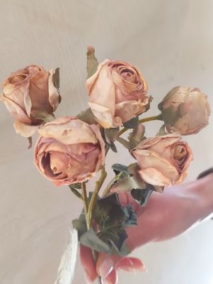 Blanc Mariclo ramo rose effetto essiccato serie Florilegio variante rosa antico h. 43