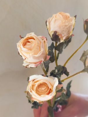 Blanc Mariclo ramo rose effetto essiccato serie Florilegio variante avorio vintage h. 43