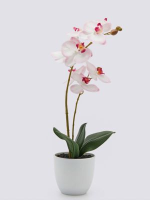 EDG Orchidea artificiale con vaso altezza cm.50 colore rosa chiaro