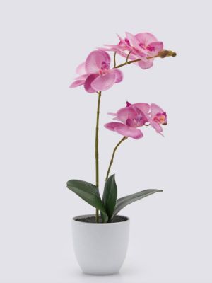 EDG Orchidea artificiale con vaso altezza cm.50 colore rosa malva
