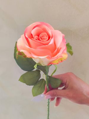 EDG rosa in stoffa alta qualità colore rosa pesca altezza cm.52