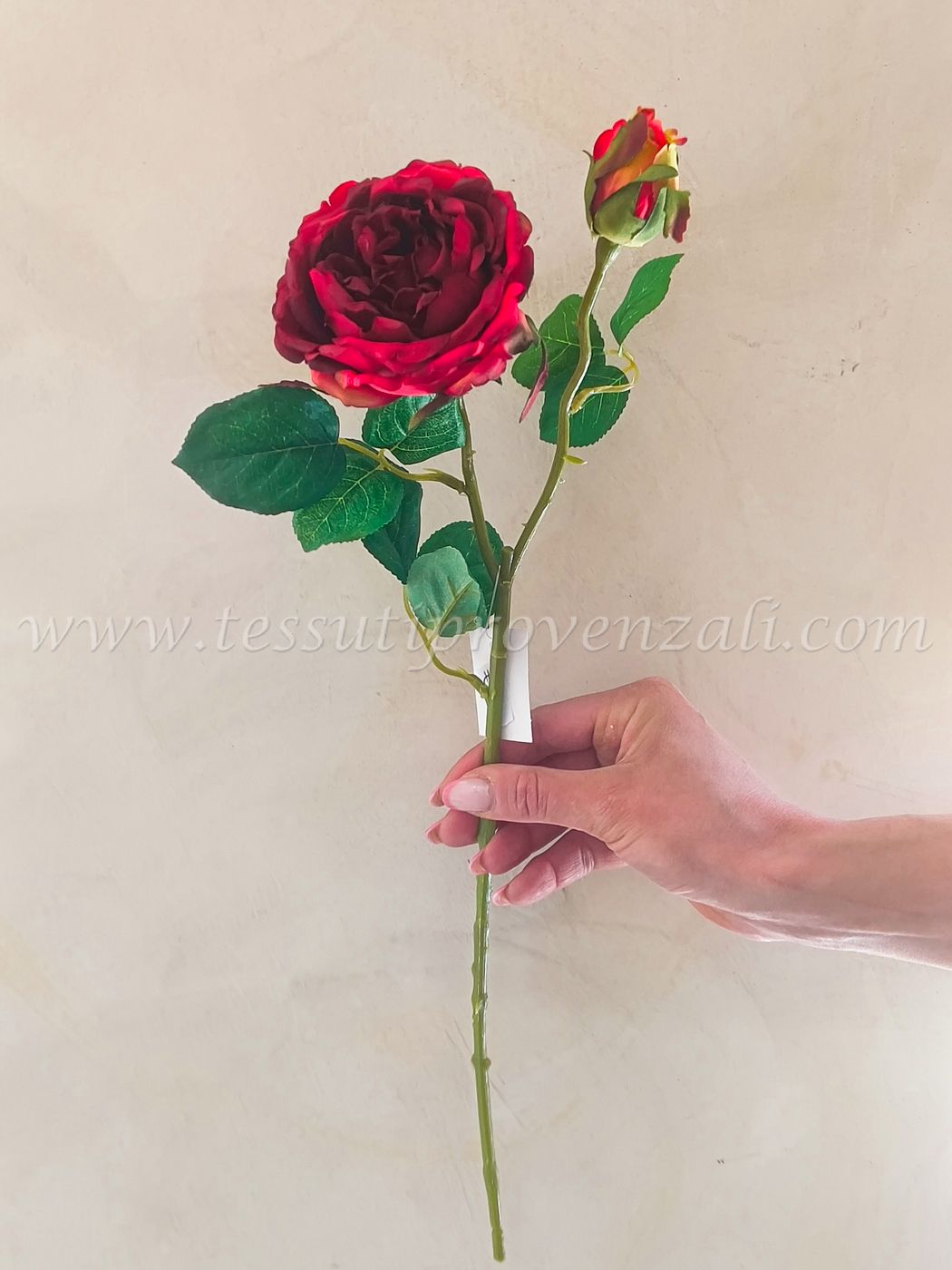 EDG rosa in stoffa alta qualità colore rosso ciliegia altezza cm.48